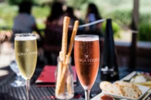 法甲联赛，激情与竞争的完美结合本赛季法甲联赛