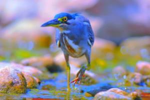 法甲联赛赛程安排解析，从时间表到影响因素法甲联赛赛程中心