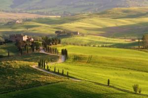 法甲排球联赛直播，精彩纷呈，全面解析法甲排球联赛直播